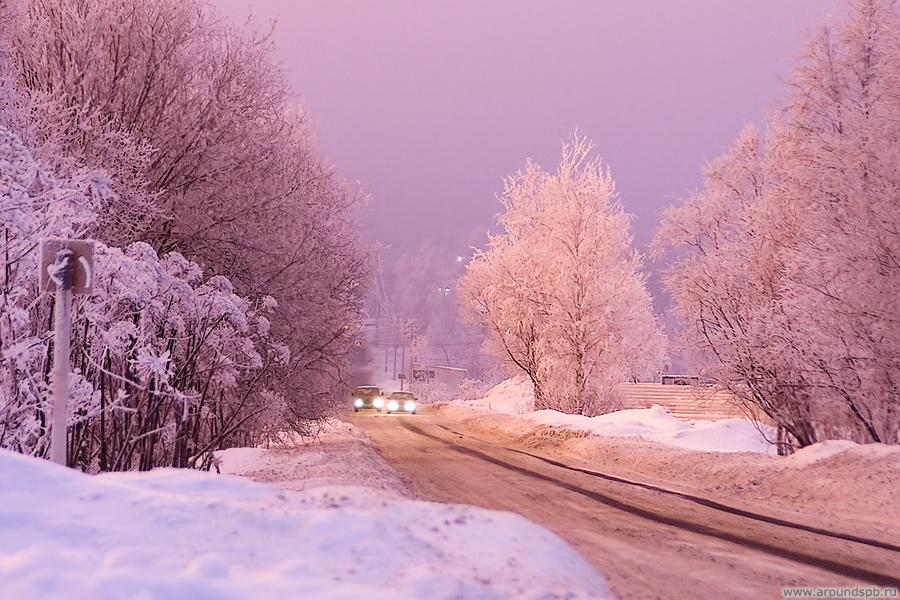 http://www.photo.aroundspb.ru/cache/commonfolder/drug_FULL.jpg