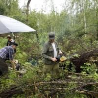 На бронеползунок упал "пакет" берез