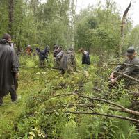 Последствия урагана 2010