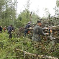 Завал пилили в 6 бензопил