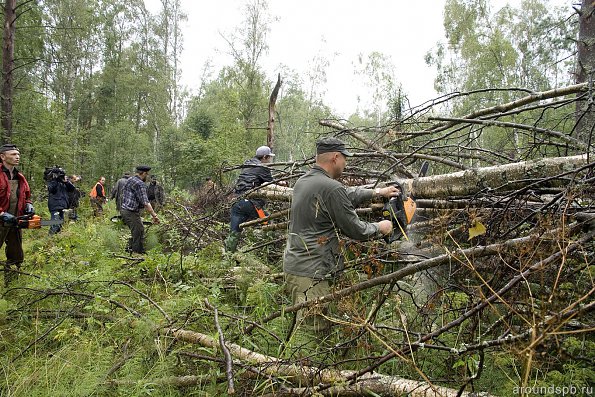 Завал пилили в 6 бензопил