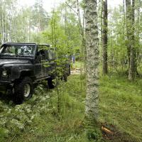 Перед спуском в болото