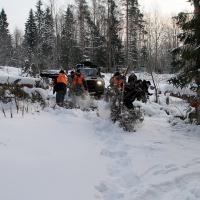 Первое препятствие на лесной дороге