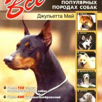 Миттельшнауцеры Дарт и Жак. 
