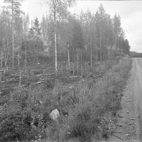 Vдlivaara, linnake tien varressa.