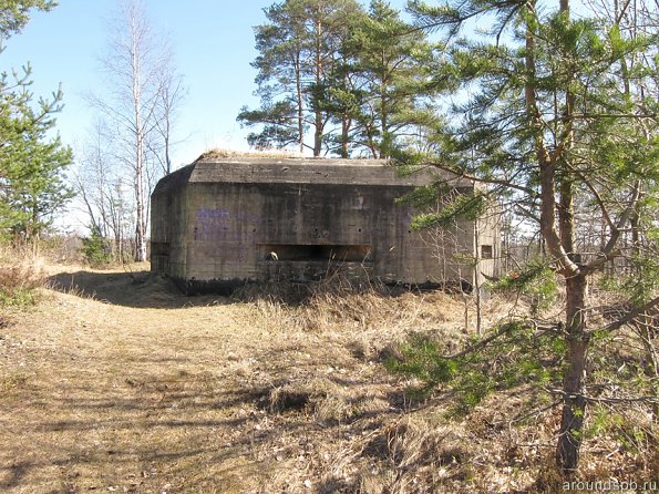 КНП в садоводстве Марс