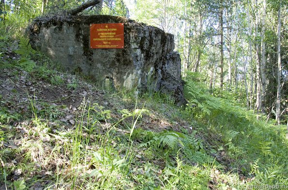 Памятная доска установлена