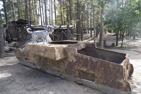 Корпус танка Т-46, собака (50 см в холке) для масштаба