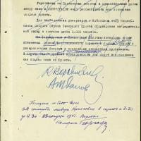 План обороны Ленинграда. 22.08.41