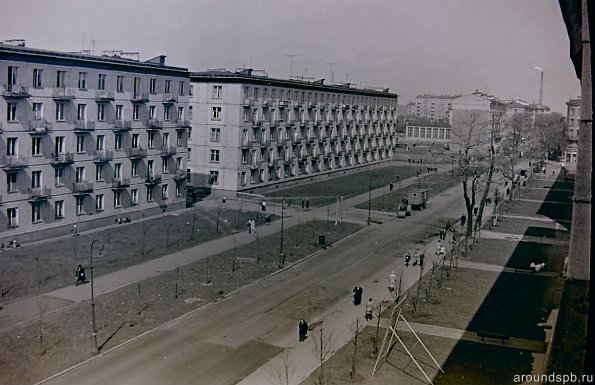 пр.Елизарова. Впереди перекресток с ул.Бабушкина