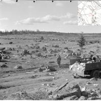 Центральная часть колонны 43-й дивизии на поле у деревни Порлампи