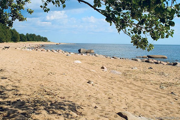 обычный пляж: камень и песок