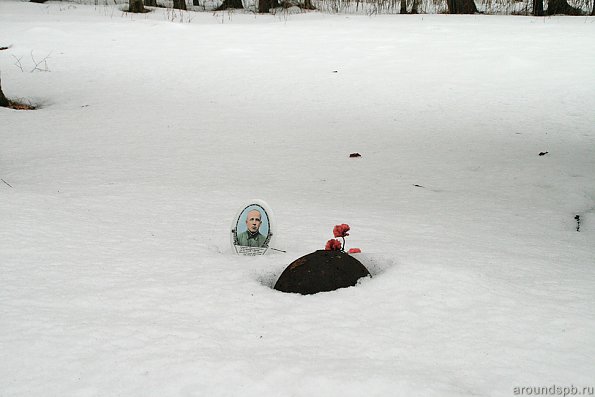 весна в Синявино