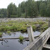 топляки в водохранилище Игнойла