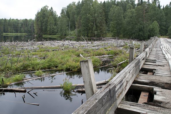 топляки в водохранилище Игнойла