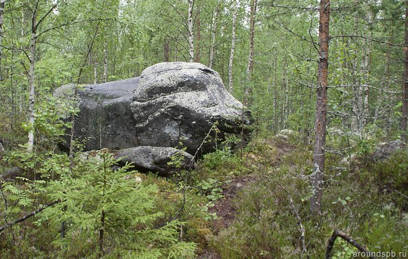 Koirakivi (Собака-камень) на тропе