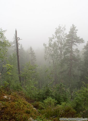 http://www.photo.aroundspb.ru/cache/places/vottovaara/IMG_3521.jpg_h500.jpg