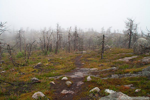http://www.photo.aroundspb.ru/cache/places/vottovaara/IMG_3547.jpg_w600.jpg