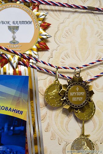 http://www.photo.aroundspb.ru/cache/privacy/dart/-/IMG_6915.jpg_h500.jpg