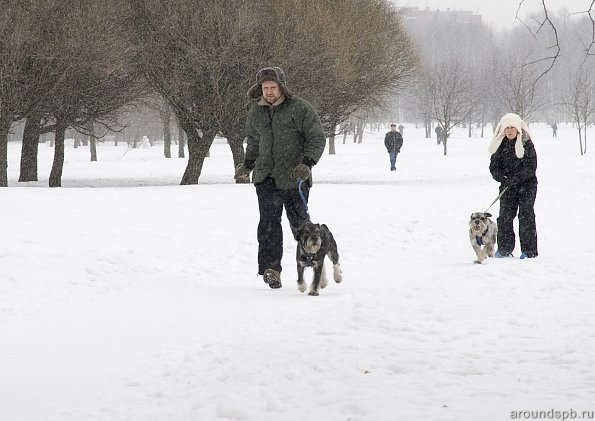 Забег Тима и заезд Чарли