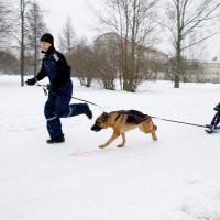 Поехали!