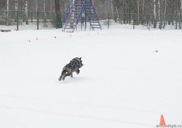 Полет за мячом