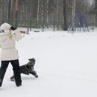 попадая в зоны с начислением очков