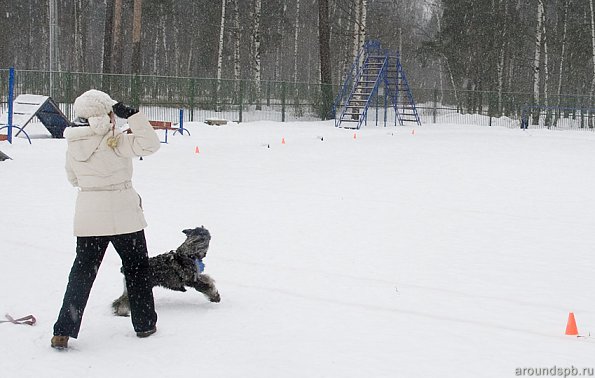 попадая в зоны с начислением очков