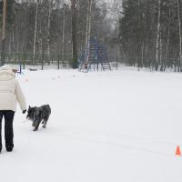 Вне зачета наколотили 145 очков. И поехали домой