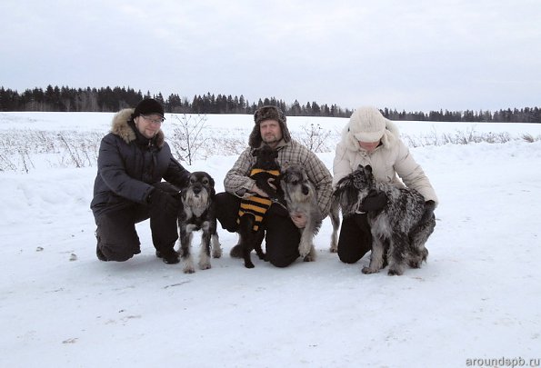 В гостях 