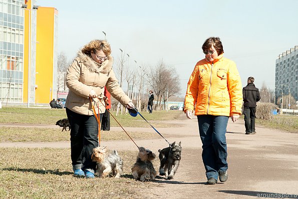 Первая прогулка в стае