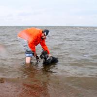 Первое купание на море