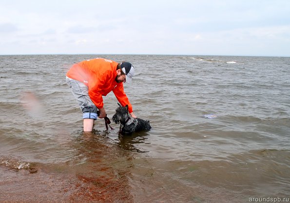 Первое купание на море