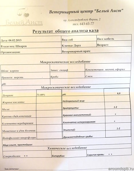 2013-02-08_koprogramma