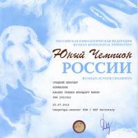 сертификат Юный чемпион России