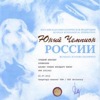 Дипломы