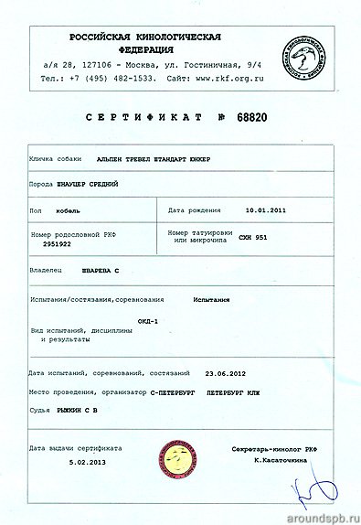 сертификат Общий курс дрессировки 1 степени (ОКД-1)