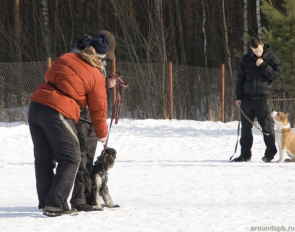 Коррекция инструктора