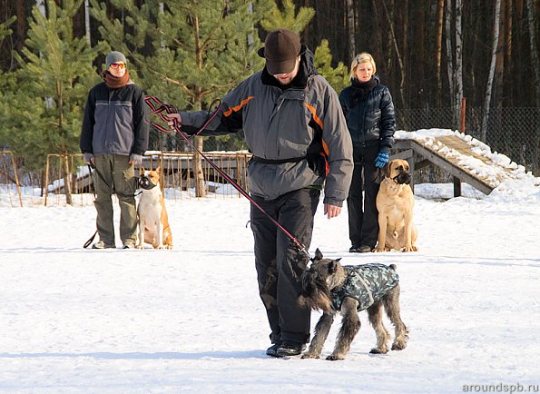 Корректирующий рывок