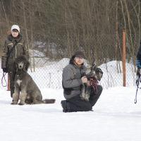 Маленький песик