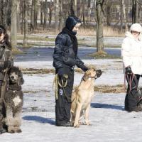 Тренировка в парке Есенина