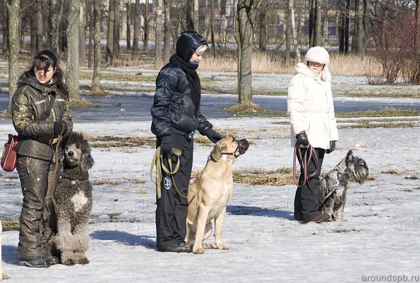 Тренировка в парке Есенина