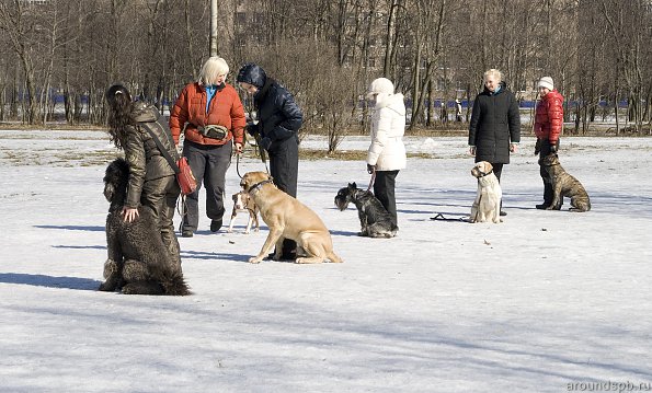 Хождение змейкой