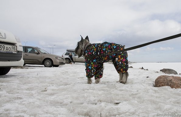 На парковке